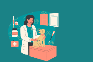 Illustration d'une vétérinaire examinant un chien avec un stéthoscope, entourée d'icônes de soins médicaux sur un fond bleu-vert.